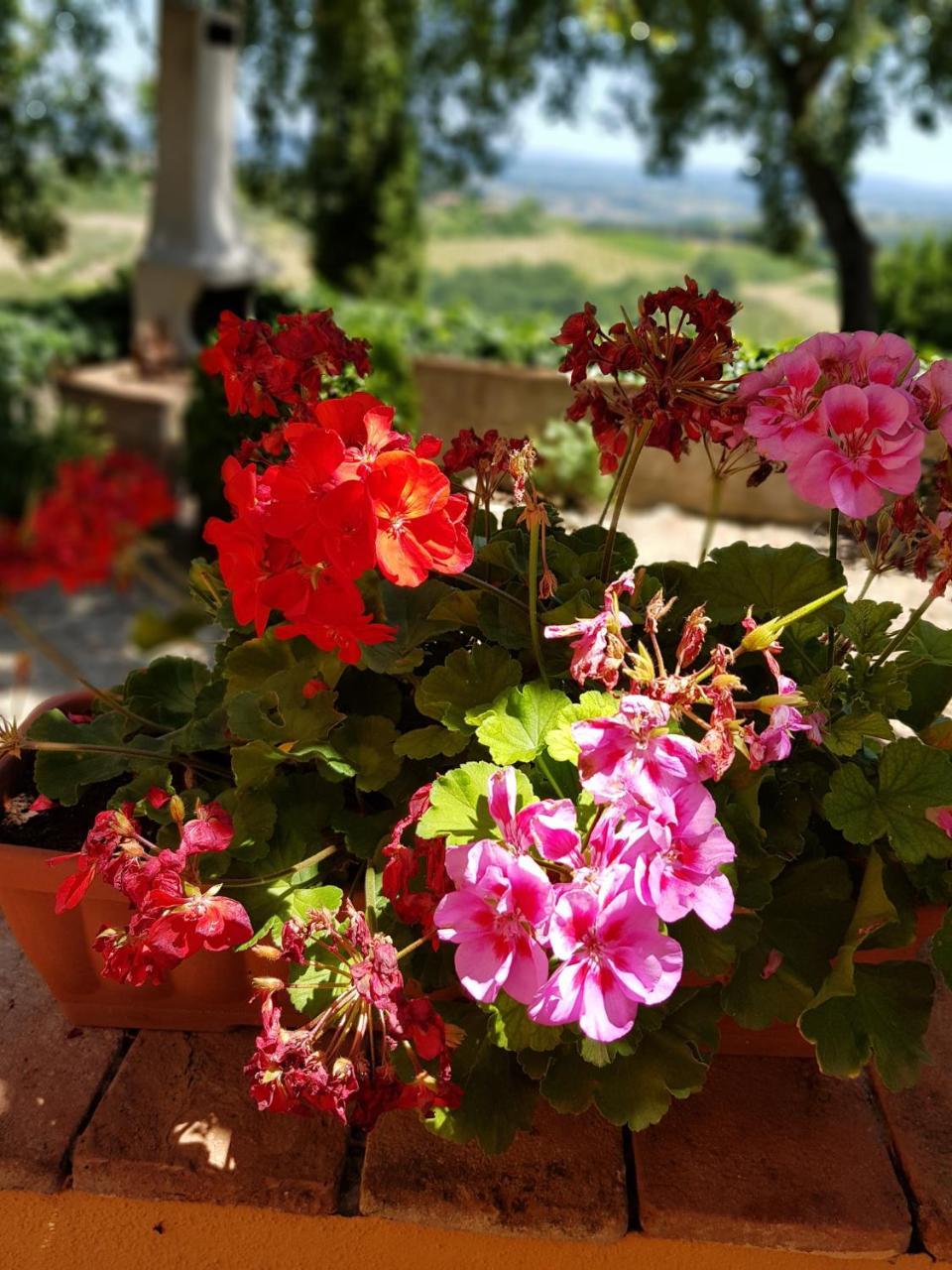 Il Leccio - Casa Toscana San Gimignano Gambassi Terme Exterior foto